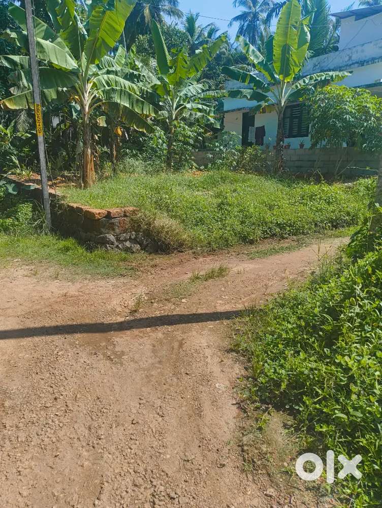 3.5 Cent Residential Plot for Sale