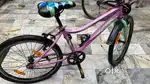 Brand New Frog Cycle