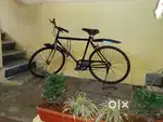 Cycle for sale