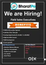 FIELD SALES EXECUTIVE