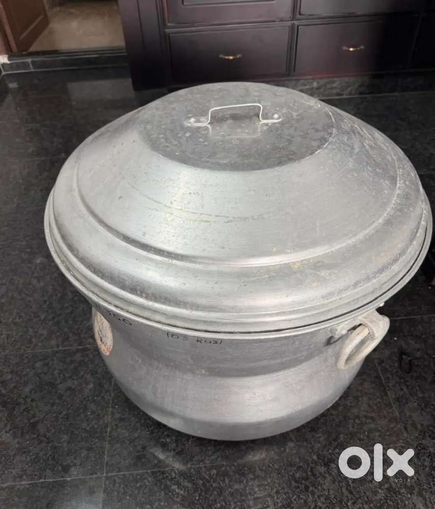 Professional grade 100 units steam idli maker