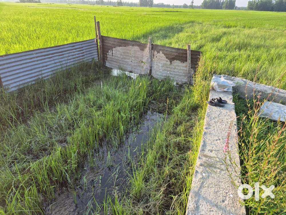 Land for sale