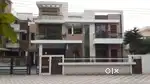 Need a driver for house located in Mohali sec 71