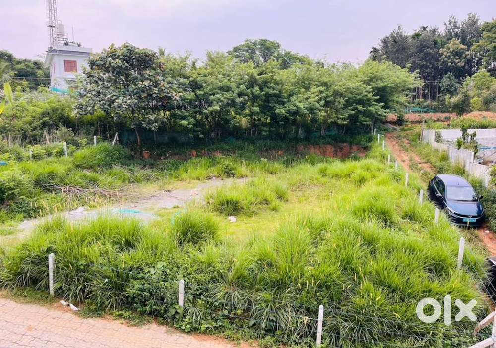 10.28 cents of Land near Nirmala Matha School