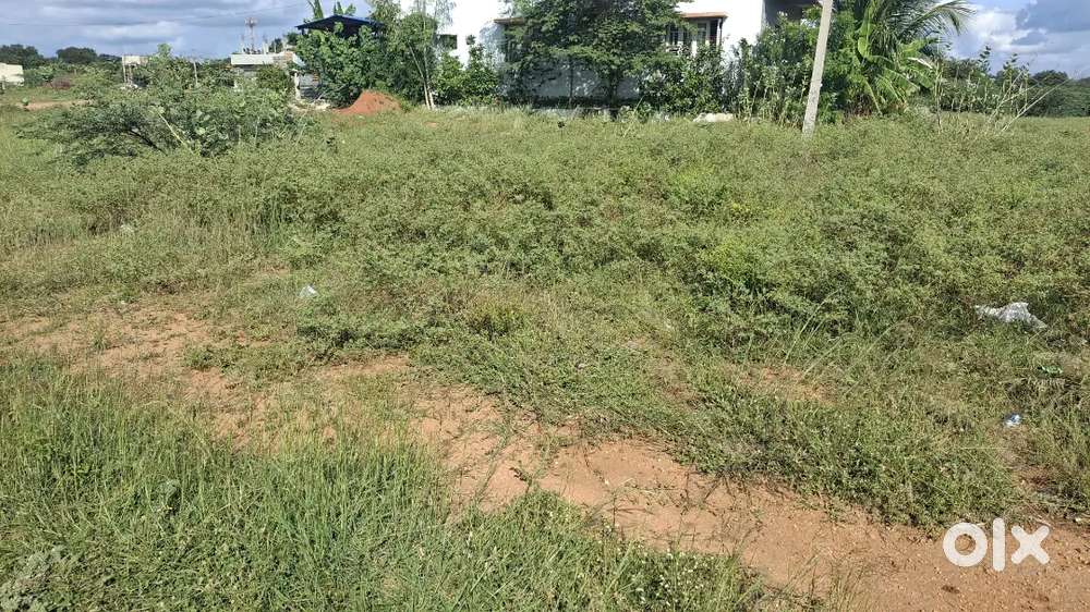 Site for sale in Anantapur (Andhra Pradesh)