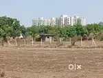 N.A.Plot @ Pathardi Nr.Potdar School