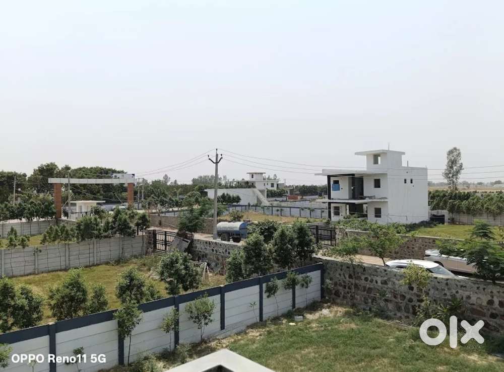 Live big live better womeki woods