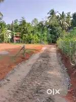 LAND FOR SALE 1ACRE 2&5&10 ACRE @ NETTOOR / VYTTILA