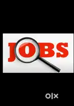 Kaam ka liyai Ladka, Patient care Zururat & Ghar ka liya, Sales Acount