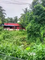 6.5 cents land for sale. Those who are interested,  please contact