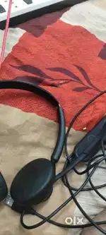 Jabra,3 months old