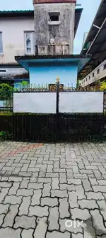 Strong and beautiful iron gate