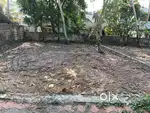 Premium East-Facing Residential Plot for Sale - 4 Cents  East-Facing