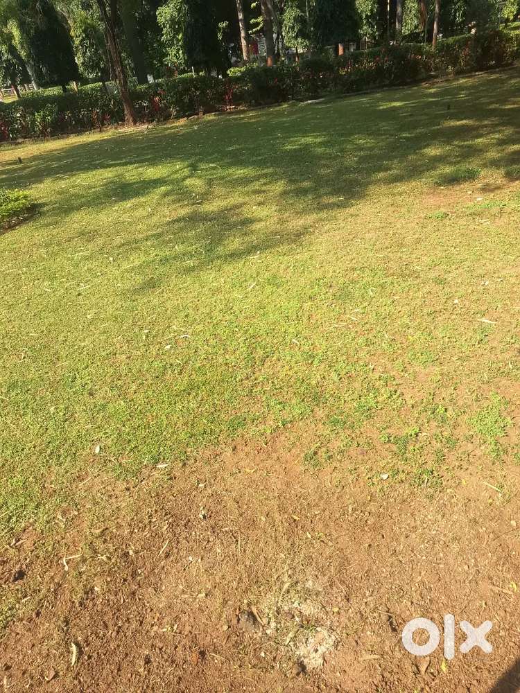 good corner plot hai  , 652 NO