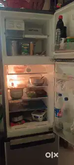 1.5years refrigetar
