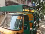 Water plant auto driver