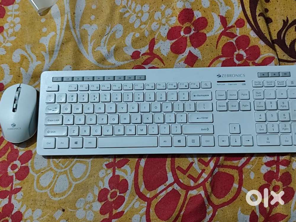 zebronics wireless mouse ,keyboard combo