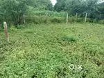 Plot for sale  alumkeri