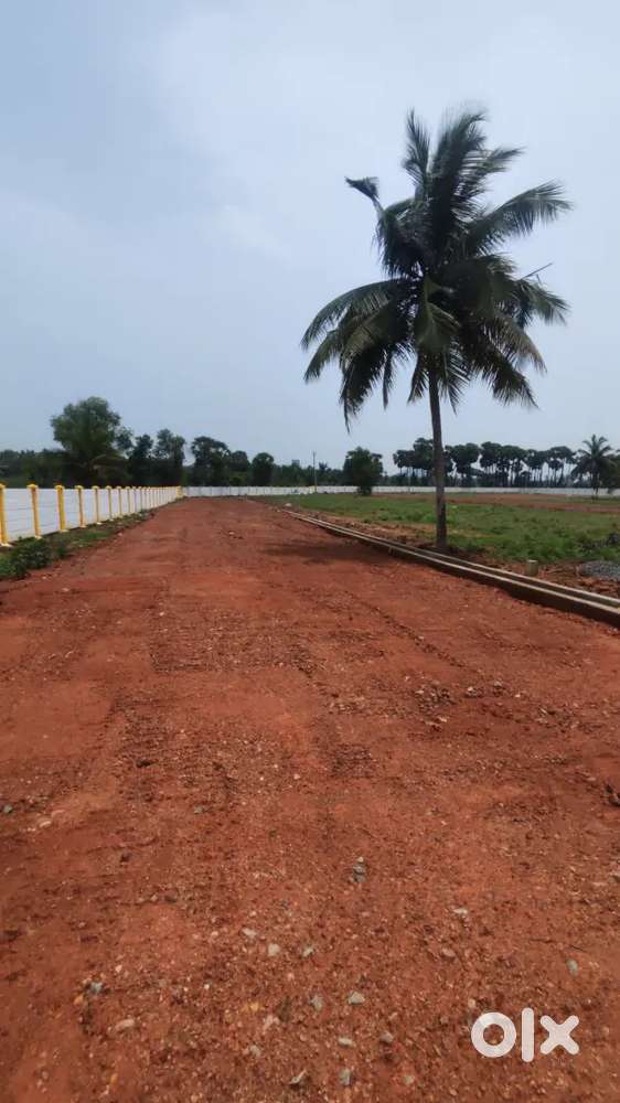 7km to bhogapuram international airport,best plots in afraidable price