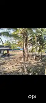 ചെറായി യിൽ 10 സെന്റ് സ്ഥലം 3 സൈഡ് റോഡ്