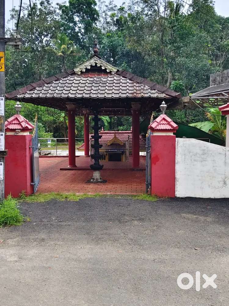 Jewellery Marketing Executive