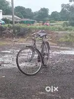 He is very good condition.not have any fault.