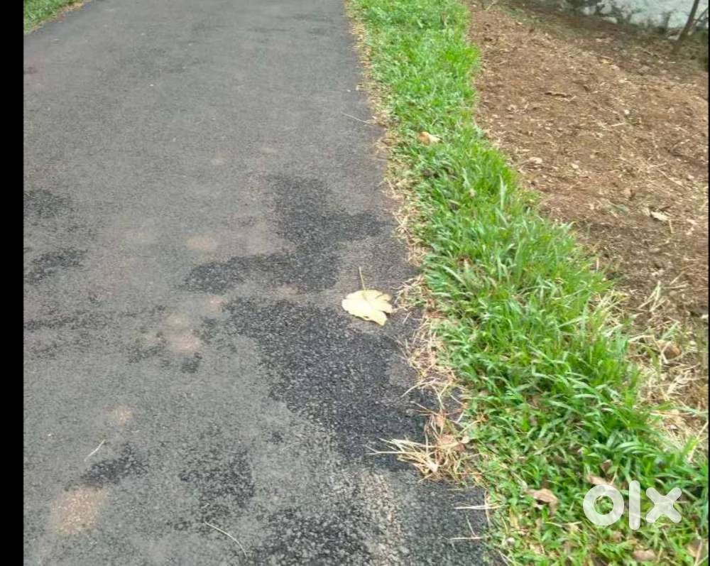 30 Cent Level Plot for Rent – Balussery