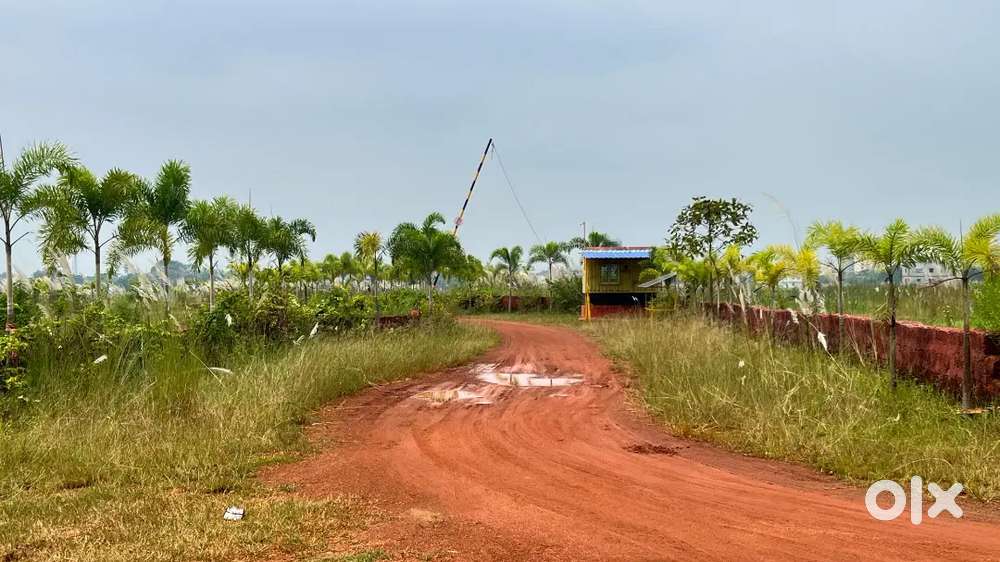 Investment plot near AIIMS hospital