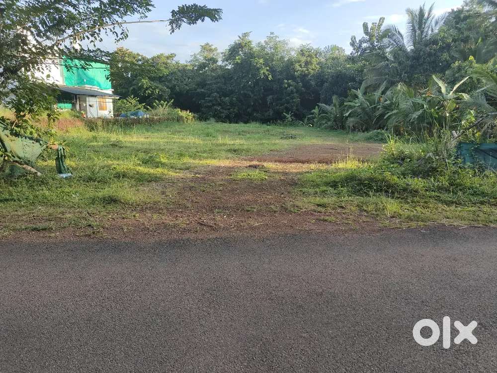 37 Cent land for sale@ Birikkulam- Parappa