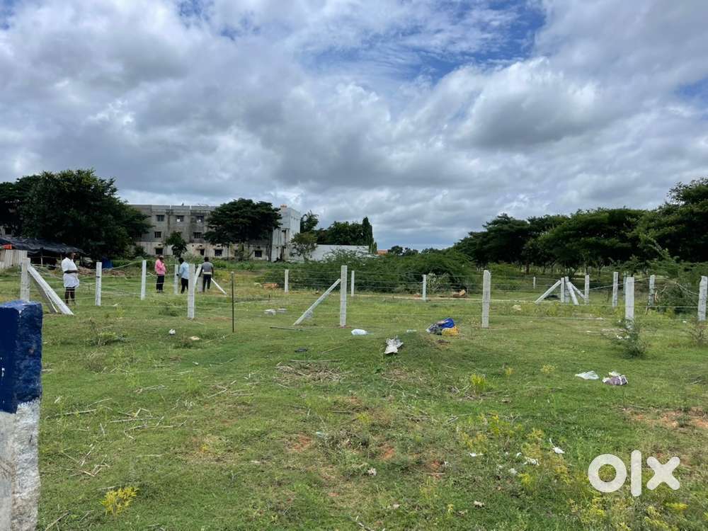 Plot sale at CTM to Angallu root
