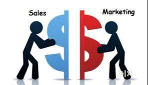 Sales and marketing job