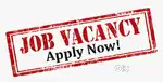 10th ,12th , diploma, any degree, freshers