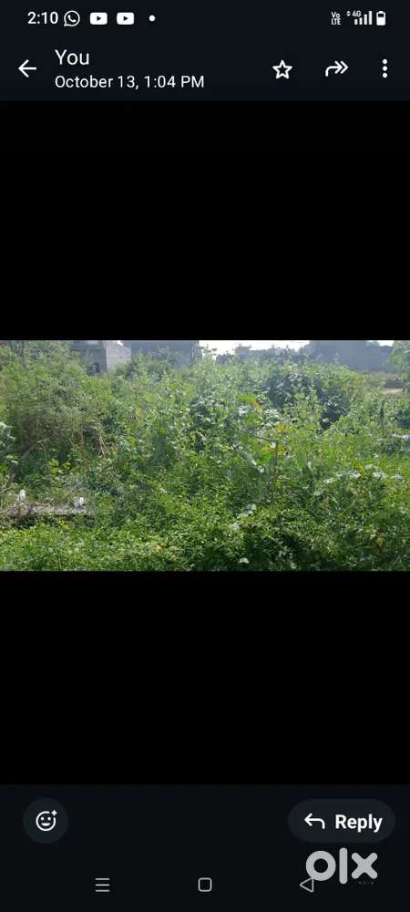 Very reasonable rate