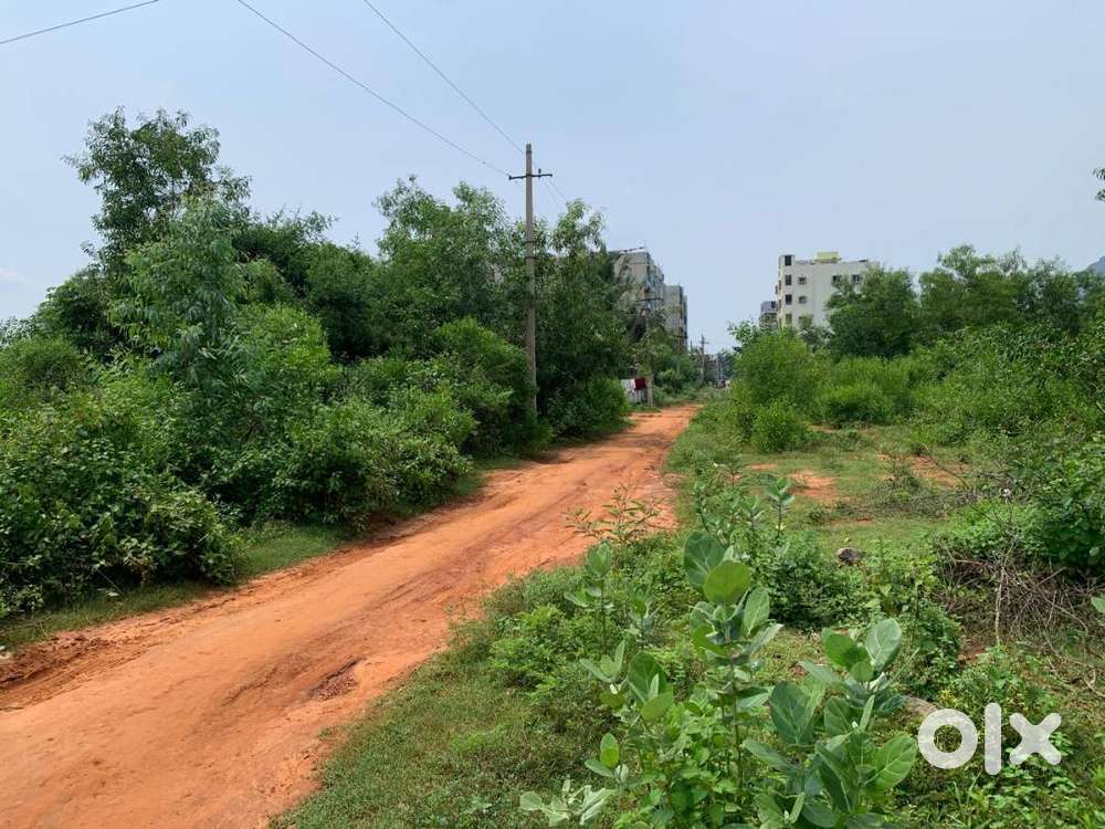 155 sqyd south west corner Residential plot for sale in Sujatha nagar