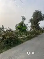 Land for sell in gaulapar 7 bigha