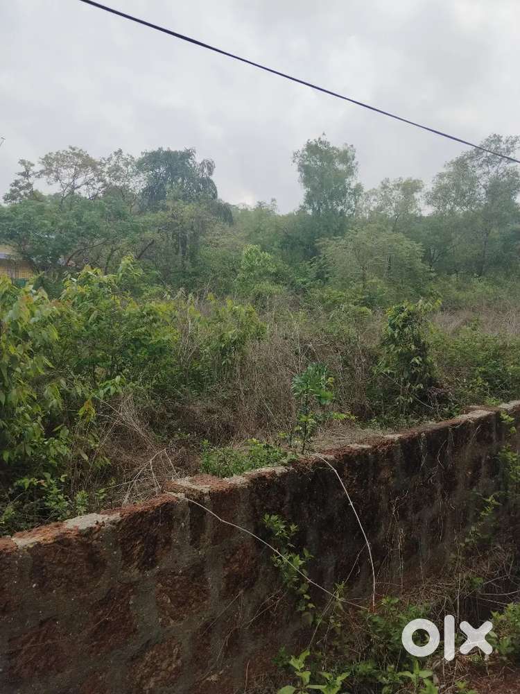 1000m2 Plot for Sale in Dicarpali Rawanfond, South Goa