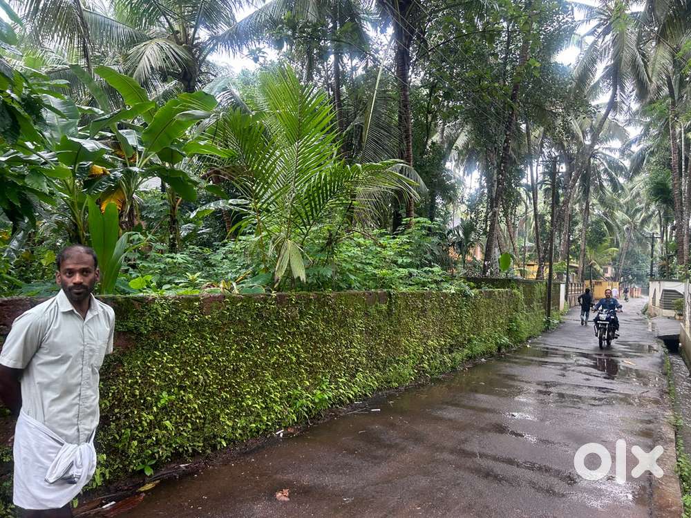 കിണർ ഓട് കൂടിയ 18 സെന്റ് സ്ഥലം വില്പങ്കക്ക്,