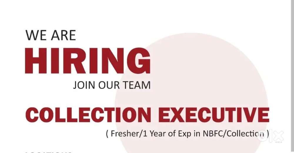 COLLECTION EXECUTIVE