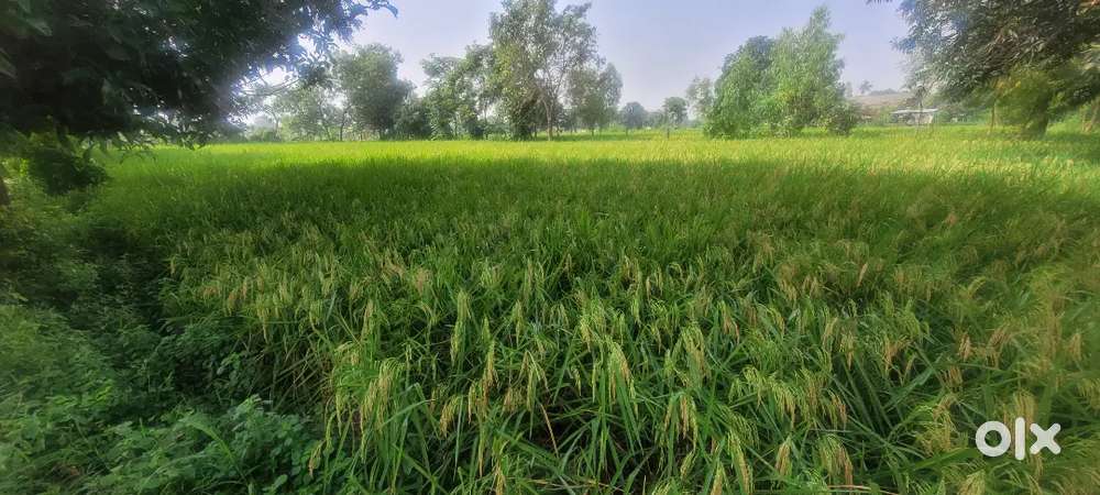 NA PLOT for FARM HOUSE