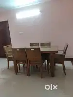 Fully Furnished flat in PANAMPILLY NAGAR