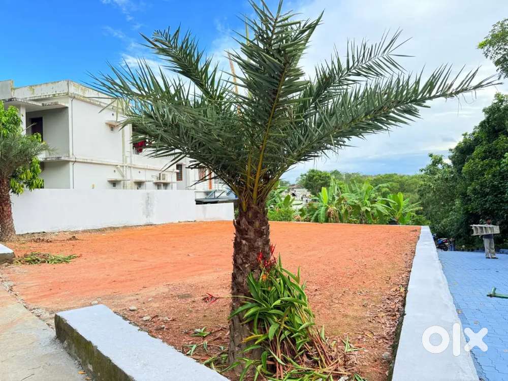 Apartment purpose 5 cent land for seil kakkanad infopark 2km idachira