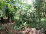 35 cent plot for sale