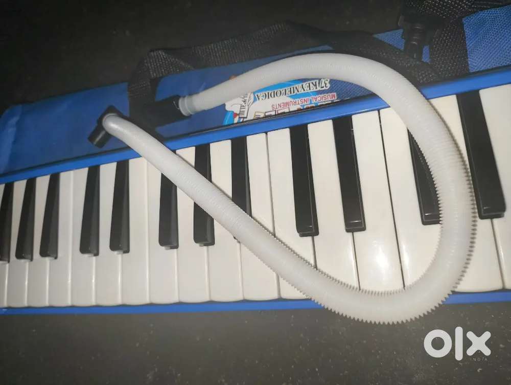 Melodica with bill and cover