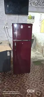 Frzee double door