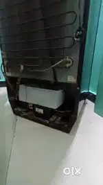 Godrej frieg