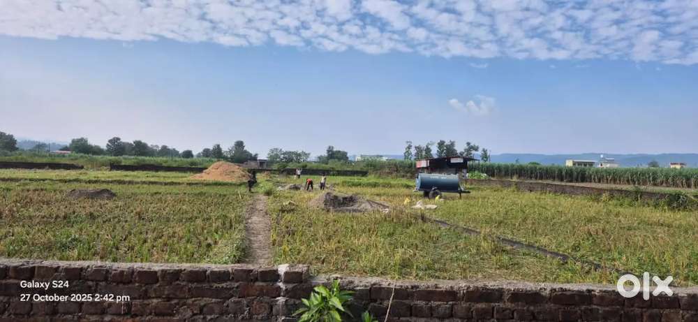 Doiwala Dudhli,shimlas grant plot for sale