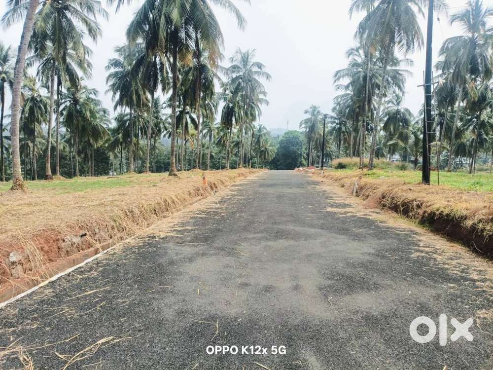 House plot in Mannarkkad for sale