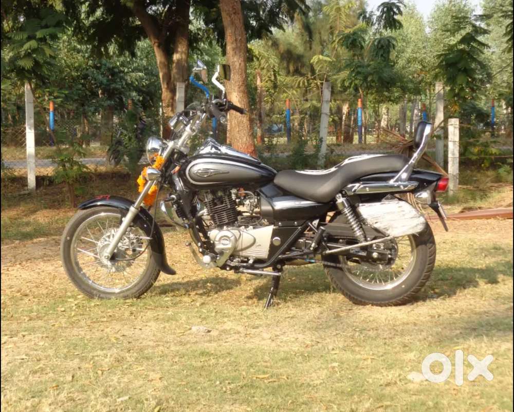 Bajaj avenger 220 cruise