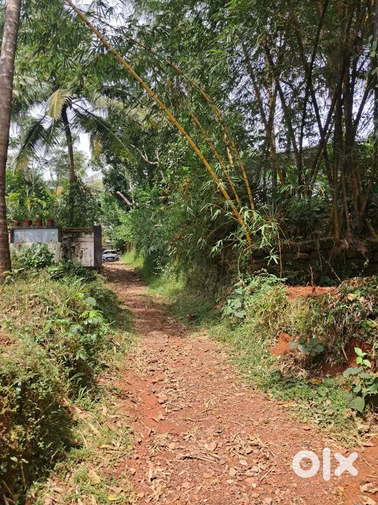 കീഴൽ ചെക്കോട്ടി ബസാറിൽ സ്ഥലം വിൽപ്പനക്ക്‌