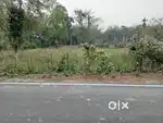 Myadi land Manikpur , Adlaguri